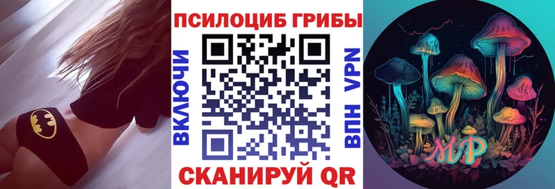 купить Болгар Галлюциногенные грибы Psilocybe