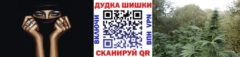 Каннабис Amnesia Болгар